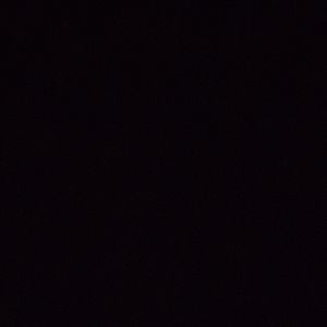 Meet your Posher, Ana